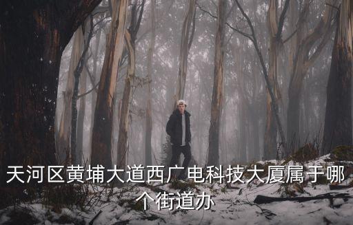 黃埔大道西，黃埔大道西49號(hào)恒城大廈屬于哪個(gè)街道