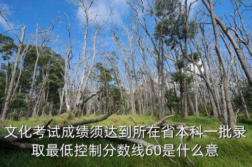 文化考試成績須達到所在省本科一批錄取最低控制分數線60是什么意
