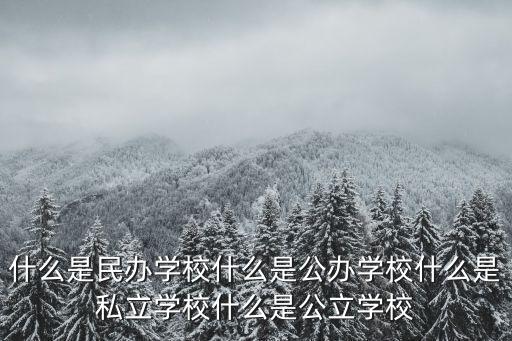 什么是公辦學校，公辦大學是什么意思