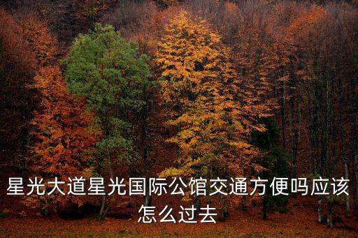 星光大道星光國(guó)際公館交通方便嗎應(yīng)該怎么過(guò)去