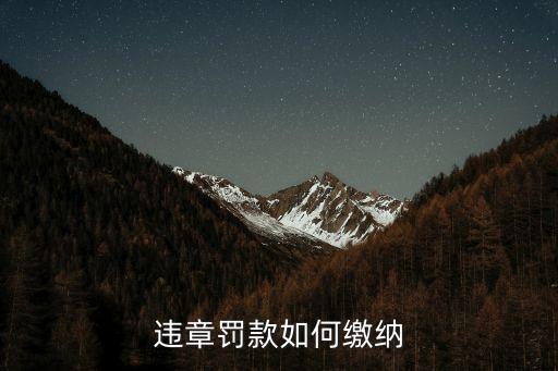 違章罰款如何繳納
