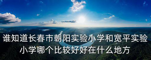 誰知道長春市朝陽實驗小學和寬平實驗小學哪個比較好好在什么地方