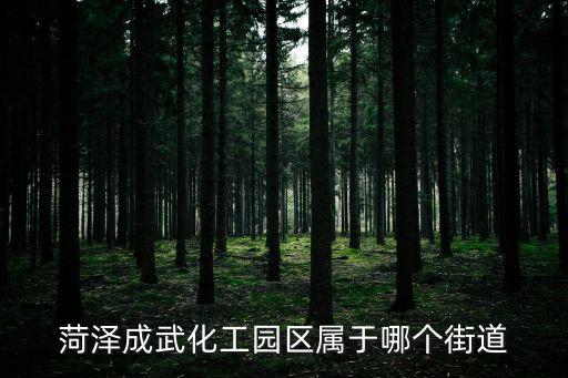 菏澤成武化工園區(qū)屬于哪個街道