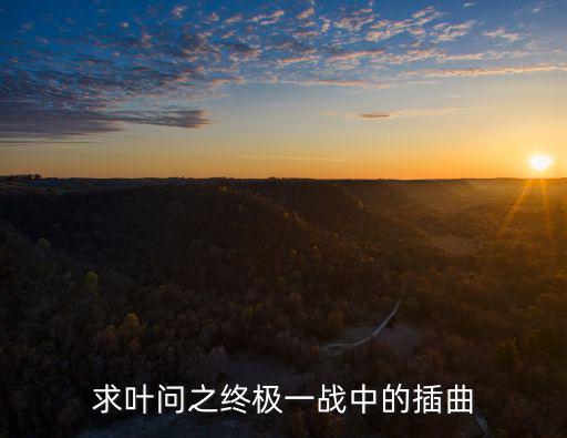 葉問終極一戰，求葉問之終極一戰中的插曲