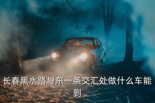 長春黑水路與東一條交匯處做什么車能到