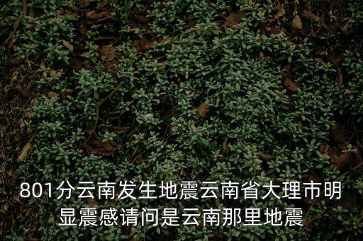 大理漾濞地震，801分云南發(fā)生地震云南省大理市明顯震感請(qǐng)問(wèn)是云南那里地震