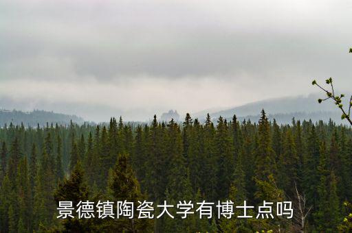 景德鎮陶瓷大學有博士點嗎