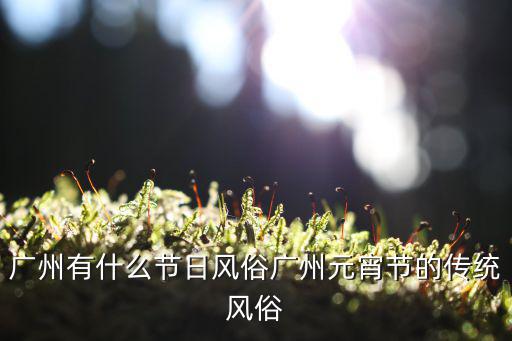 廣州有什么節(jié)日風(fēng)俗廣州元宵節(jié)的傳統(tǒng)風(fēng)俗