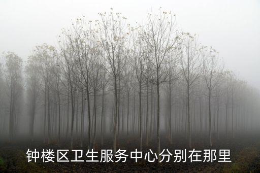 鐘樓區(qū)衛(wèi)生服務(wù)中心分別在那里