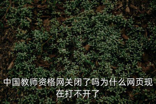 中國教師資格網關閉了嗎為什么網頁現在打不開了