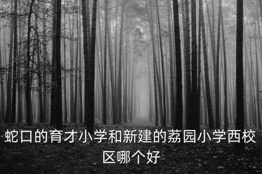 蛇口的育才小學和新建的荔園小學西校區哪個好