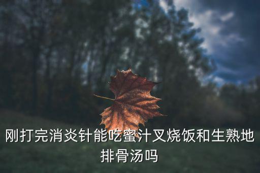 剛打完消炎針能吃蜜汁叉燒飯和生熟地排骨湯嗎