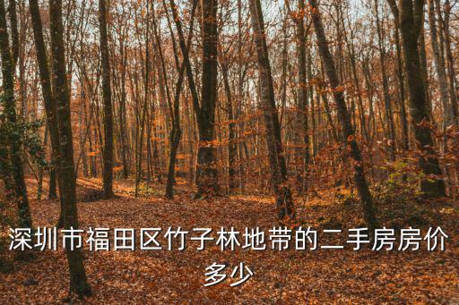深圳市福田區(qū)竹子林地帶的二手房房價(jià)多少