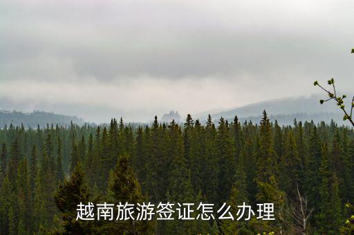越南旅游簽證怎么辦理