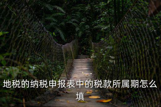 地稅的納稅申報表中的稅款所屬期怎么填