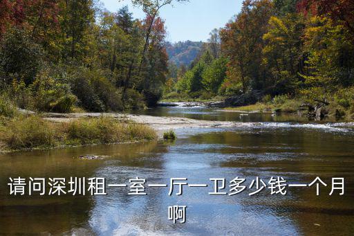 請問深圳租一室一廳一衛多少錢一個月啊