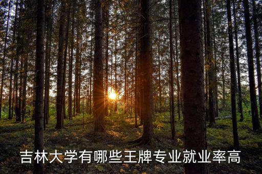 吉林大學就業，吉林大學本科畢業生就業情況如何