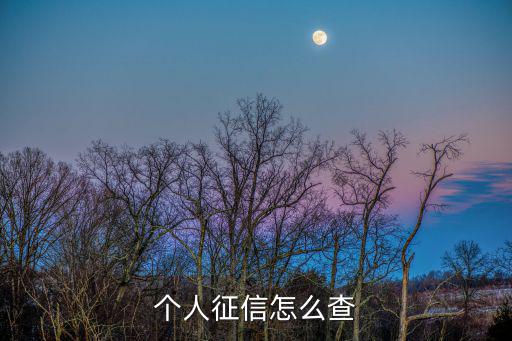 個(gè)人征信怎么查