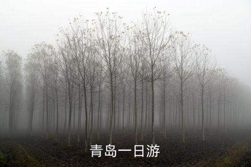 青島一日游