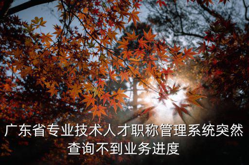廣東省專業技術人才職稱管理系統突然查詢不到業務進度