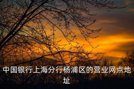 中國銀行上海分行楊浦區的營業網點地址