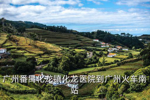 廣州番禺化龍鎮化龍醫院到廣州火車南站