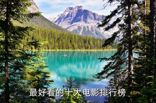 最好看的十大電影排行榜