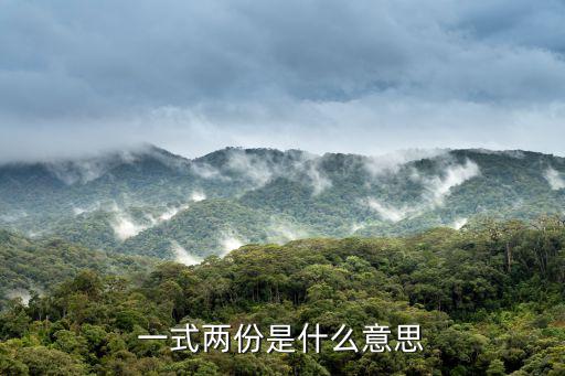 一式兩份是什么意思