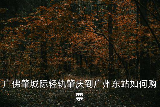 廣佛肇城際輕軌肇慶到廣州東站如何購票