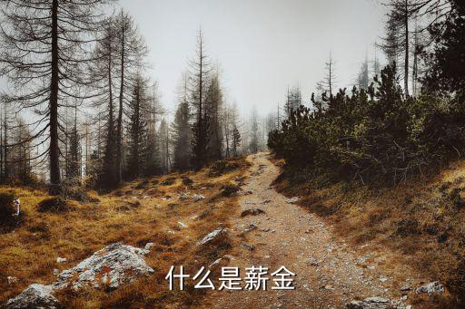 什么是薪金
