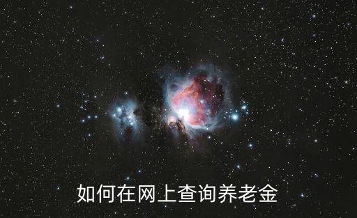 如何在網上查詢養老金