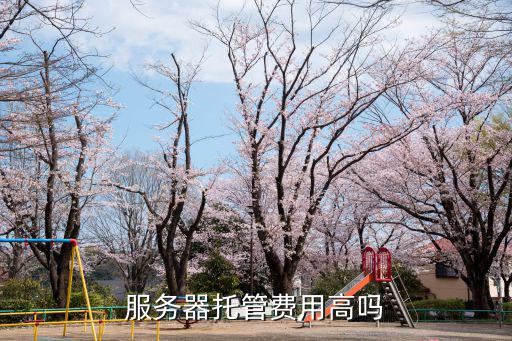 服務(wù)器托管費(fèi)用高嗎