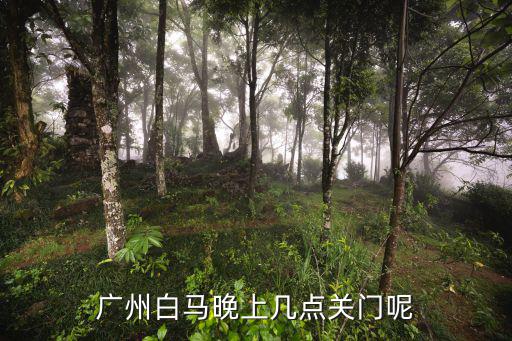 廣州白馬，廣州白馬晚上幾點關門呢
