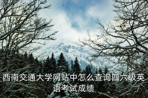 四六級查分，怎樣通過身份證號查詢英語四六級的成績