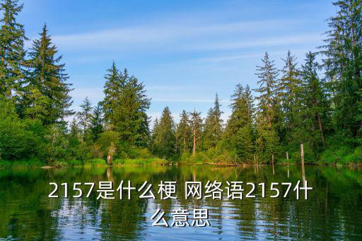 2157，比如520是我愛你你2157能有什么甜蜜的意思中文嗎