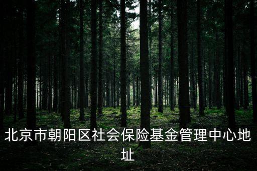 北京市朝陽區社會保險基金管理中心地址