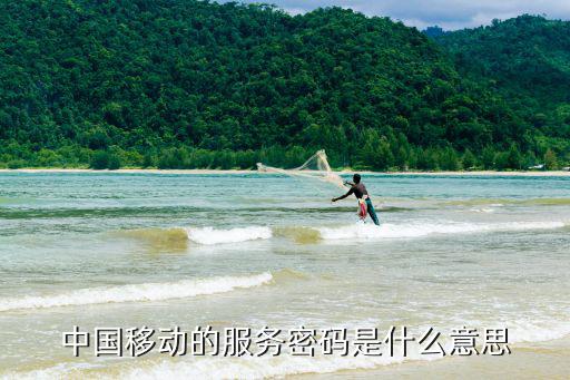中國移動的服務密碼是什么意思
