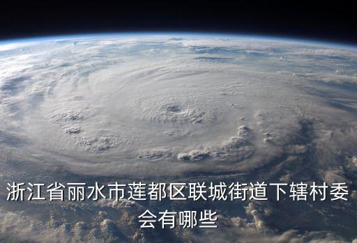 麗水市蓮都區，浙江省麗水市蓮都區聯城街道下轄村委會有哪些
