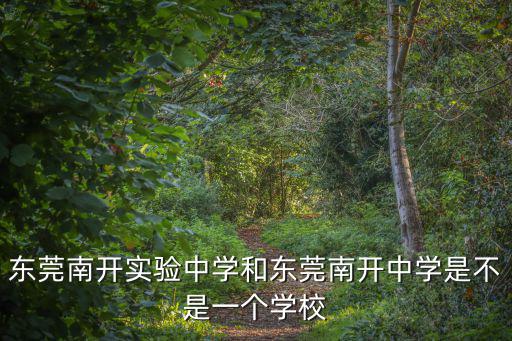 東莞南開實驗中學和東莞南開中學是不是一個學校