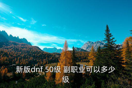 新版50，新版dnf 50級 副職業可以多少級