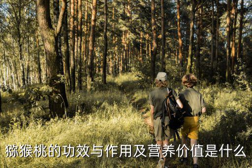 獼猴桃的功效與作用及營養價值是什么