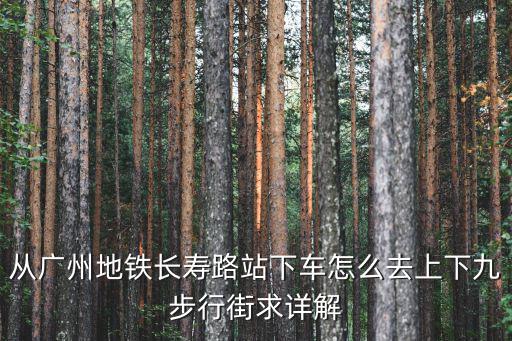 長壽路站，廣州長壽路地鐵站有幾個D出口