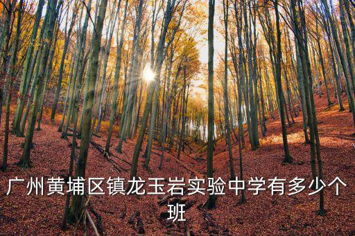 廣州黃埔區鎮龍玉巖實驗中學有多少個班