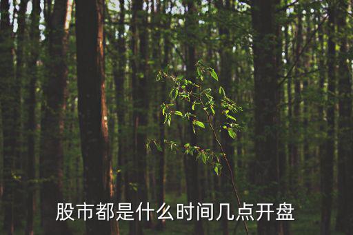 股市都是什么時間幾點開盤