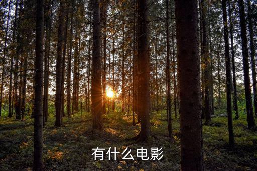 電影有哪些，有什么電影