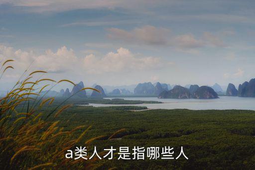 a類(lèi)人才，義烏人才等級(jí)a類(lèi)是什么意思