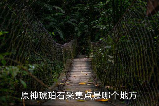 原神琥珀石采集點(diǎn)是哪個(gè)地方