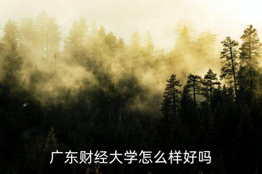 廣東財經大學，廣東財經大學怎么樣好嗎
