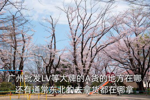 廣州批發LV等大牌的A貨的地方在哪還有通常東北的去拿貨都在哪拿