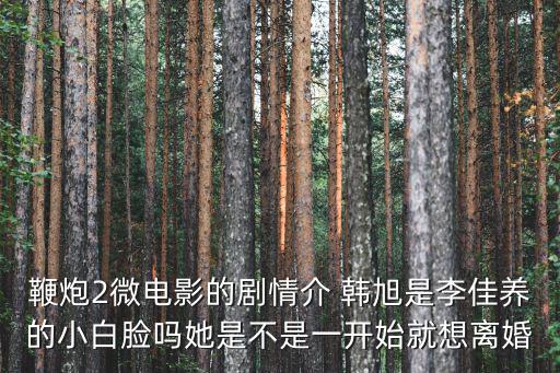 鞭炮微電影，5顆鞭炮響完打成一把刀的電影叫什么名字是武俠片子